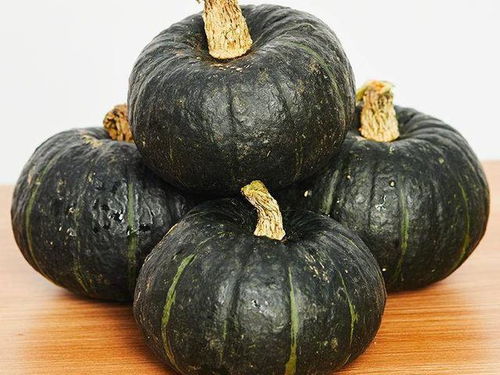 迷你城堡公主学减肥中文版下载akpv1.6 