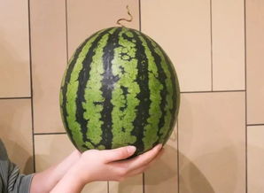 黑料吃瓜网apk普通安装 