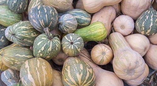 消消乐吃鸡手游 