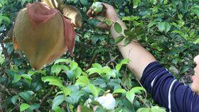 米加小镇世界更新户外商店版 