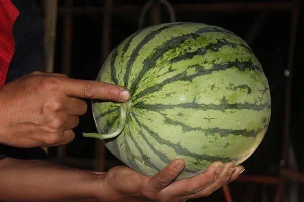 怎么样才能不当社畜:妻子的故事 