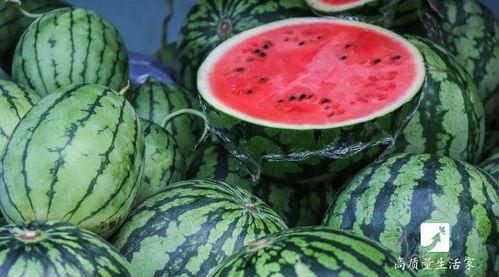 怎么样才能不当社畜:妻子的故事 