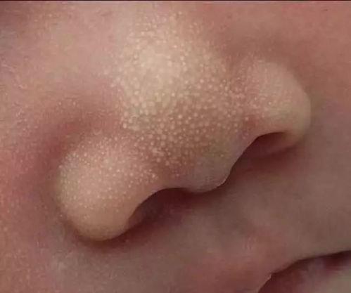 怎么可以吃兔兔 