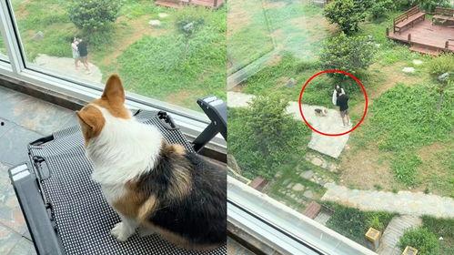 黑料吃瓜网apk普通安装 