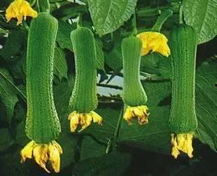 宝宝巴士宝宝城市诊所 