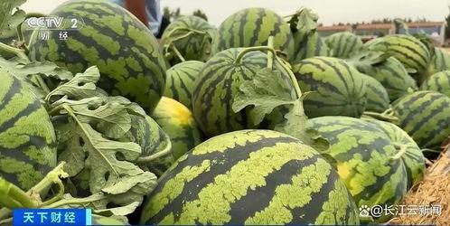 黑料吃瓜网apk普通安装 