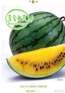 黑料吃瓜网apk普通安装 