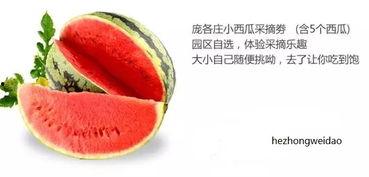 黑料吃瓜网apk普通安装 