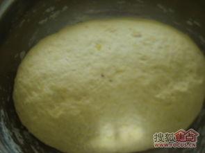 怎么样才能不当社畜:妻子的故事 