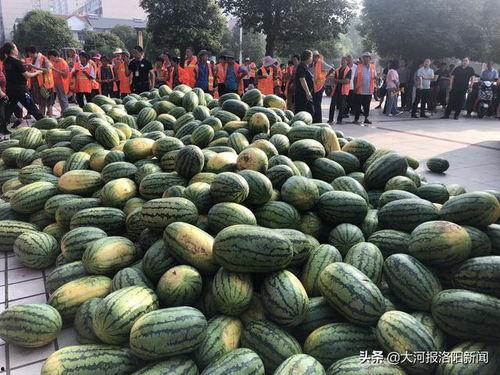 黑料吃瓜网apk普通安装 