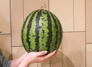 黑料吃瓜网apk普通安装 