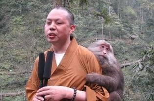 b站视频大全免费观看 